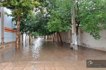 باران در شیراز - آب گرفتگی سطح معابر