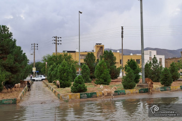 باران در شیراز - آب گرفتگی سطح معابر