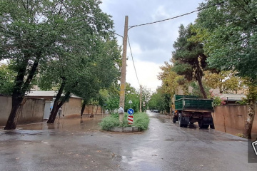 باران در شیراز