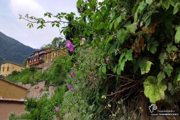 روستای تاریخی ماسوله