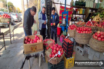 گلفروشی و میوه فروشی قصردشت شیراز - انار فروشی