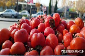 گلفروشی و میوه فروشی قصردشت شیراز - خرمالو