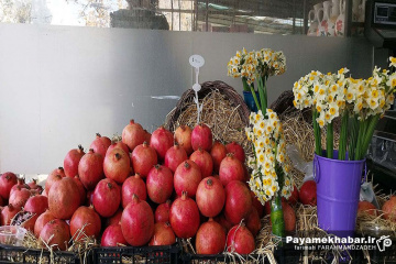 گلفروشی و میوه فروشی قصردشت شیراز - انار و گل نرگس