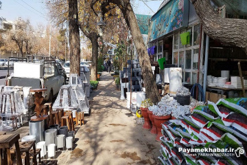 گلفروشی و میوه فروشی قصردشت شیراز