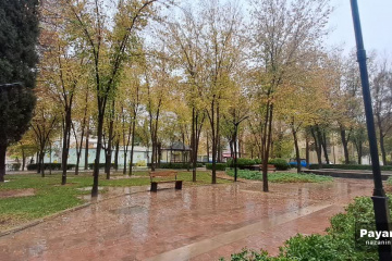 شیراز در یک روز بارانی