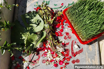 آخرین پنج شنبه سال در دارالرحمه و گلزار شهدای شیراز