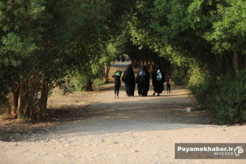 پیاده روی اربعین حسینی در طریق العلما