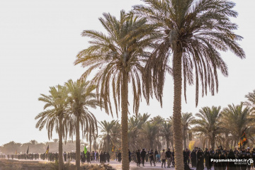 پیاده روی اربعین حسینی در طریق العلما