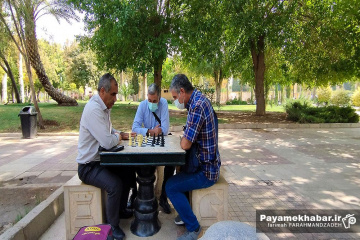 بوستان آزادی‎ شیراز - شطرنج - بازنشستگان