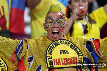 دیدار اکوادور - سنگال از بازی های جام جهانی 2022 قطر - تماشاگران اکوادور