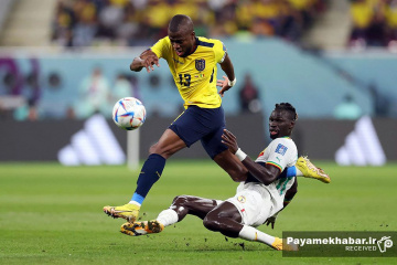 دیدار اکوادور - سنگال از بازی های جام جهانی 2022 قطر