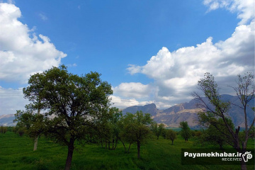 طبیعت زیبای فارس - دشت و درخت - نیمه ابری