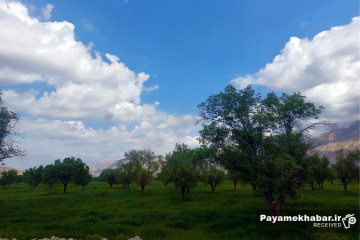 طبیعت زیبای فارس - دشت و درخت - نیمه ابری
