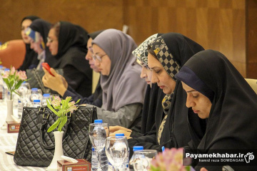 نشست خبری مدیر کل میراث فرهنگی فارس
