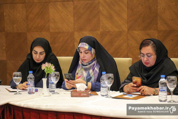 نشست خبری مدیر کل میراث فرهنگی فارس