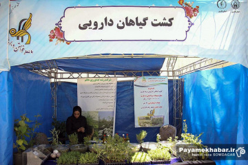 جشن خودکفایی مجریان طرح های اشتغال زایی کمیته امداد فارس