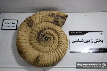 موزه تاریخ طبیعی و تکنولوژی دانشگاه شیراز