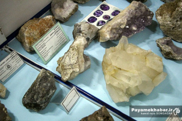 موزه تاریخ طبیعی و تکنولوژی دانشگاه شیراز