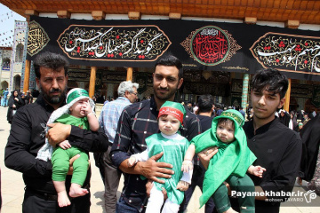 مراسم شیرخوارگان حسینی در حرم مطهر حضرت شاهچراغ (ع)