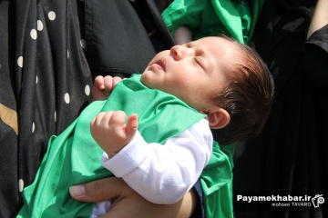مراسم شیرخوارگان حسینی در حرم مطهر حضرت شاهچراغ (ع)