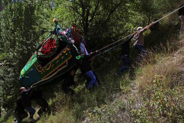 آئین های محلی - عزاداری امام حسین (ع) - نخلگردانی روستای نوا