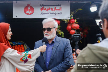 جشنواره خرمالو و انار شیراز