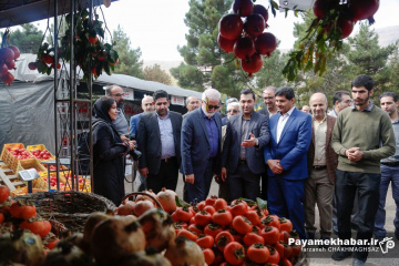 جشنواره خرمالو و انار شیراز