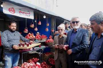 جشنواره خرمالو و انار شیراز