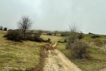 طبیعت پاییزی مازیچال کلادشت