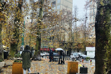 طبیعت بارانی تهران