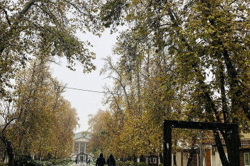 طبیعت بارانی تهران