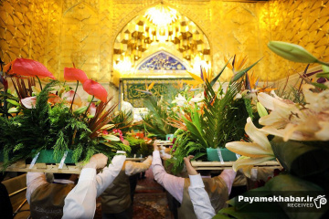 گل آرایی حرم مطهر امام حسین (ع) به مناسبت میلاد حضرت امیرالمومنین علی (ع)