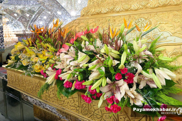 گل آرایی حرم مطهر امام حسین (ع) به مناسبت میلاد حضرت امیرالمومنین علی (ع)
