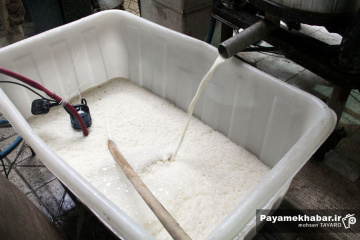 طبخ سمنی 30 تنی در شیراز - سمنو پزون - سمنی پزون