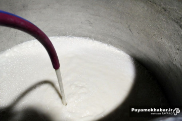 طبخ سمنی 30 تنی در شیراز - سمنو پزون - سمنی پزون