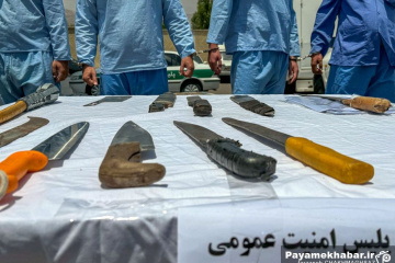 کشفیات جدید نیروی انتظامی فارس - چاقو - سلاح سرد