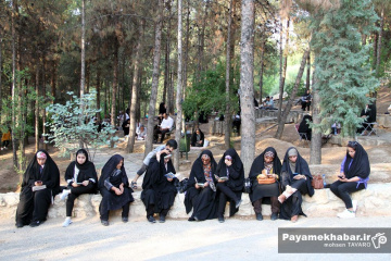 قرائت دعای عرفه در تپه نورالشهدا شیراز