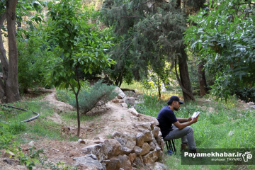 قرائت دعای عرفه در تپه نورالشهدا شیراز