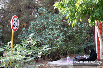 قرائت دعای عرفه در تپه نورالشهدا شیراز