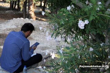 قرائت دعای عرفه در تپه نورالشهدا شیراز