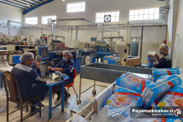 بازدید از شرکت های فعال شهرک صنعتی فارس - تولید لوازم بهداشتی