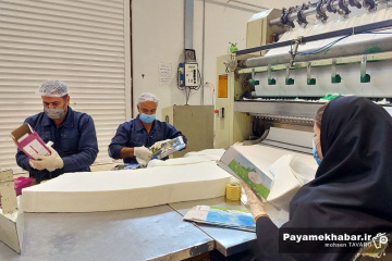 بازدید از شرکت های فعال شهرک صنعتی فارس - تولید لوازم بهداشتی - دستمال کاغذی