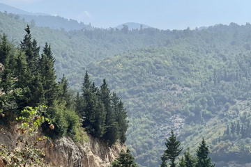 طبیعت جنگل های گیلان