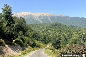 طبیعت جنگل های گیلان