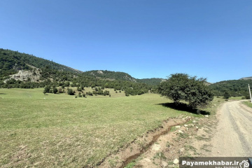 طبیعت جنگل های گیلان