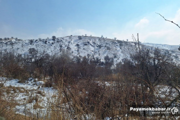 طبیعت برفی روستای زرجه بستان قزوین