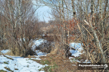 طبیعت برفی روستای زرجه بستان قزوین