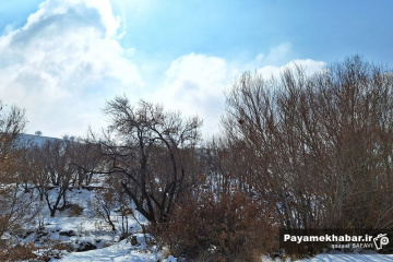 طبیعت برفی روستای زرجه بستان قزوین