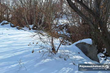 طبیعت برفی روستای زرجه بستان قزوین