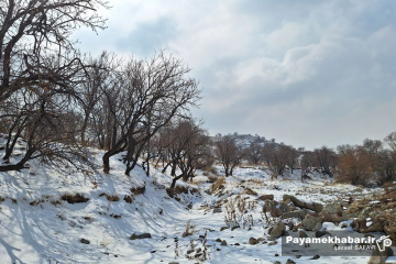 طبیعت برفی روستای زرجه بستان قزوین